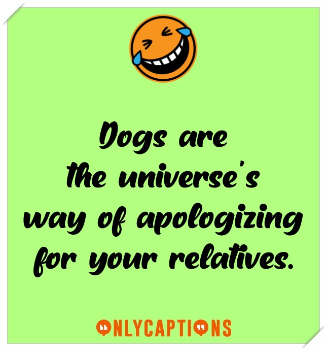 Funny Dog Captions For Instagram (2023)
