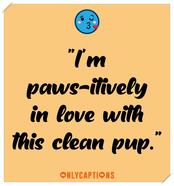 Funny Dog Bath Captions For Instagram (2023)