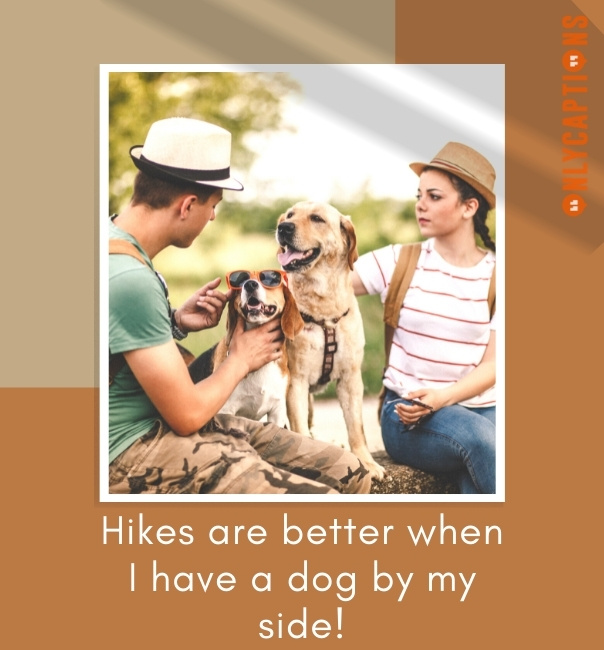 Instagram Captions For Hiking With Dog (2023) 