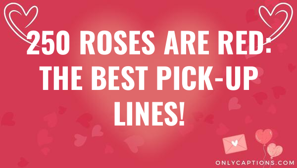 250 roses are red the best pick up lines 4731 3-OnlyCaptions