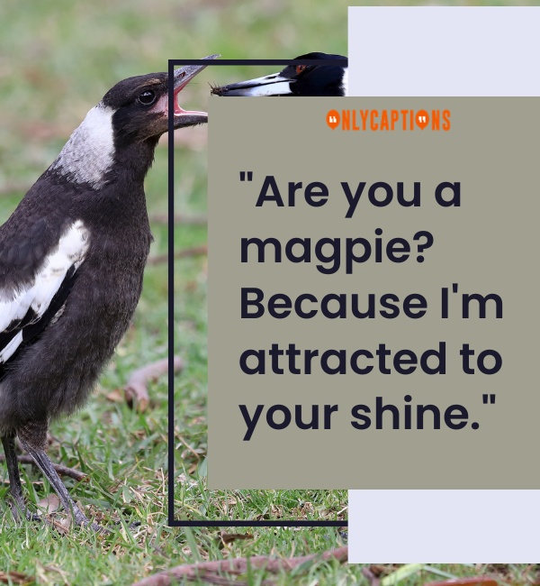 Bird Pick Up Lines For Him (Guys)
