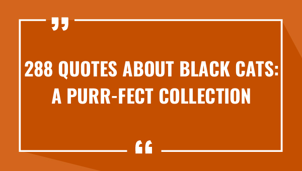 288 quotes about black cats a purr fect collection 7643-OnlyCaptions