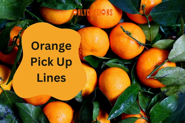 Orange Pick Up Lines (2024)