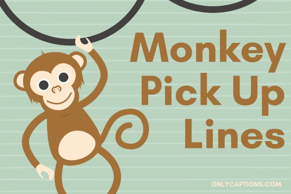 Monkey Pick Up Lines (2024)