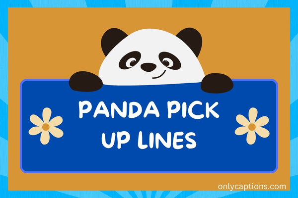 Panda Pick Up Lines (2023)