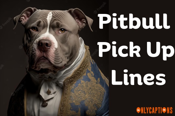 Pitbull Pick Up Lines (2023)