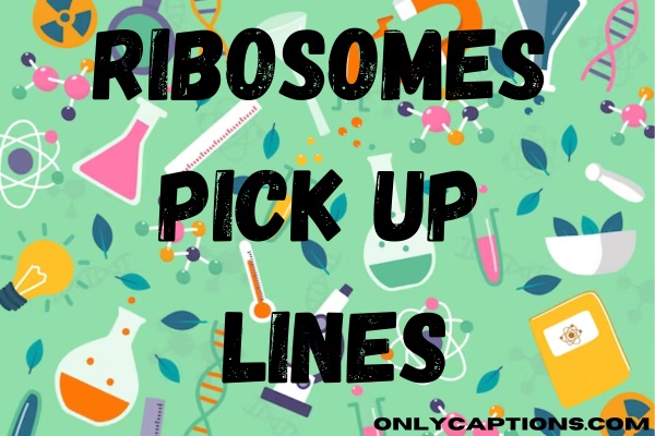 Ribosomes Pick Up Lines (2024)