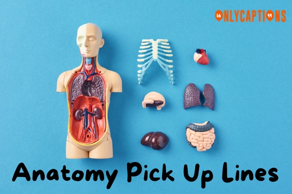 Anatomy Pick Up Lines (2024)