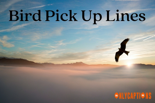 247 Feathered Flirtations Bird Pick Up Lines 2023 247-feathered-flirtations-bird-pick-up-lines-2023