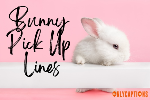 Bunny Pick Up Lines (2023)