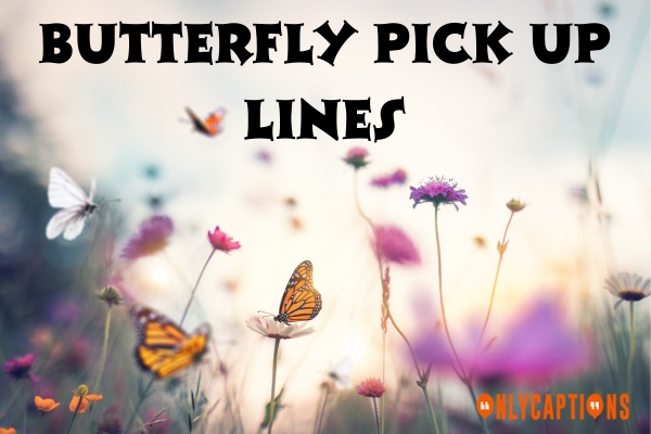 Butterfly Pick Up Lines (2023)