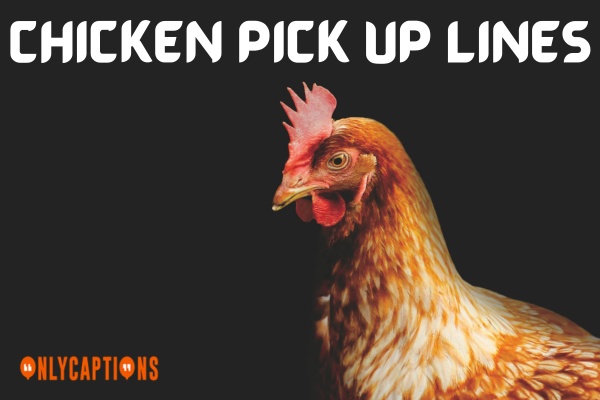 Chicken Pick Up Lines (2023)