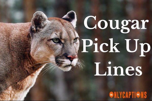Cougar Pick Up Lines (2024)