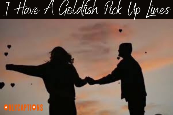 I Have A Goldfish Pick Up Lines-OnlyCaptions