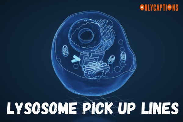 Lysosome Pick Up Lines (2024)
