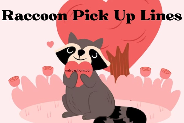 Raccoon Pick Up Lines (2023)