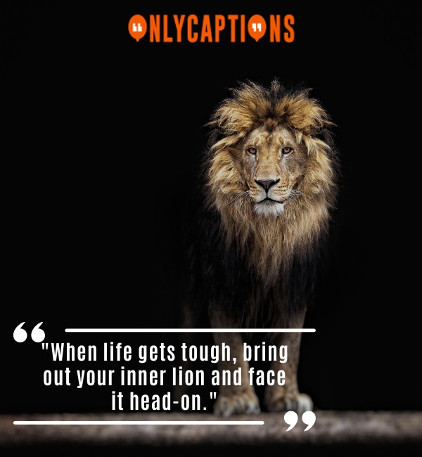Confident Attitude Powerful Lion Quotes 2-OnlyCaptions