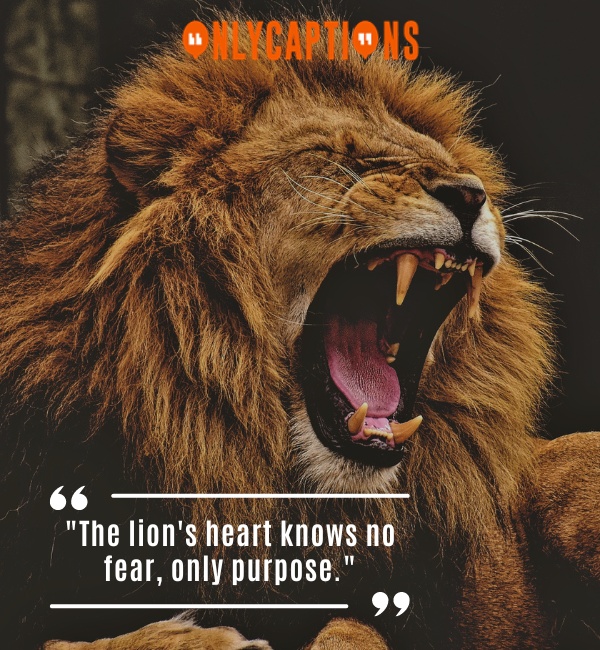 Confident Attitude Powerful Lion Quotes 3-OnlyCaptions