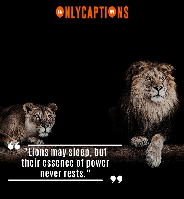 Confident Attitude Powerful Lion Quotes 4-OnlyCaptions