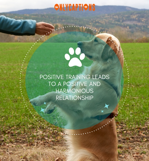 Dog Training Quotes 1-OnlyCaptions