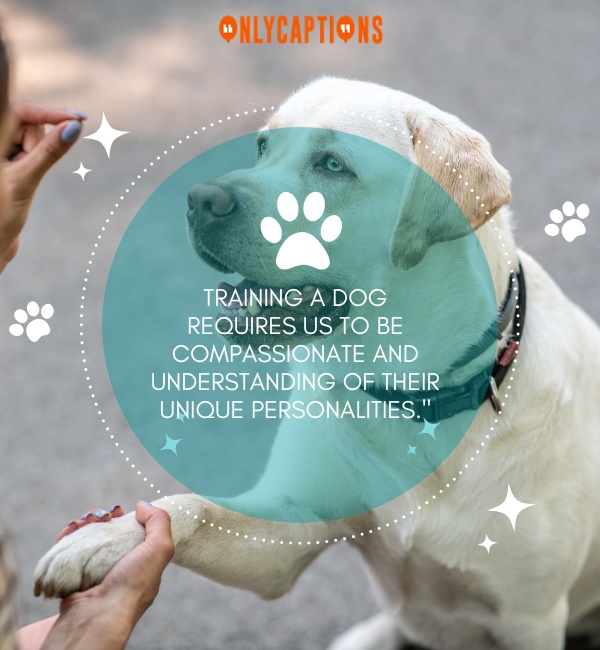 Dog Training Quotes 2 1-OnlyCaptions