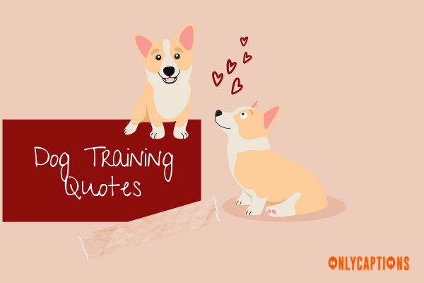 Dog Training Quotes (2024)