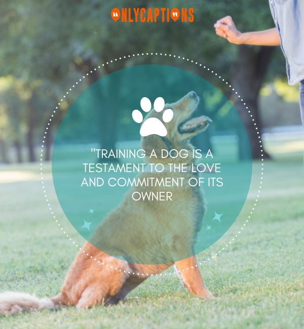 Dog Training QuotesSad is Untrue Quotes 1-OnlyCaptions