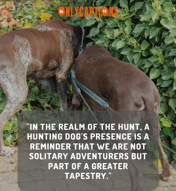Hunting Dog Quotes 2-OnlyCaptions