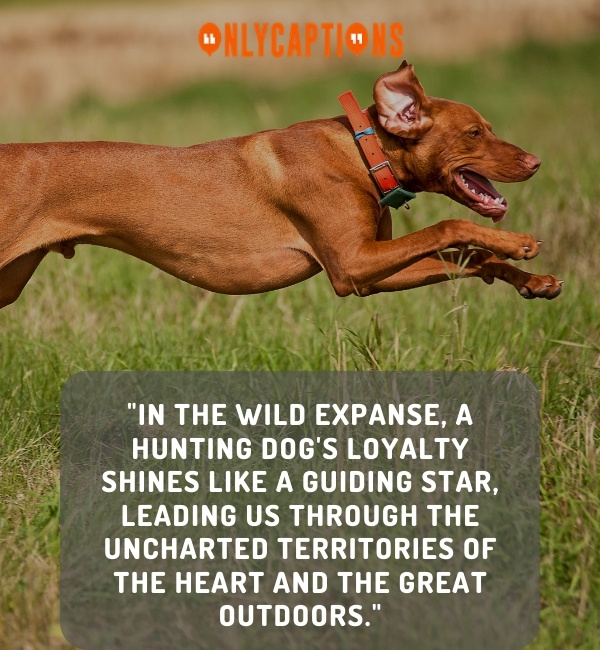 Hunting Dog Quotes 4-OnlyCaptions