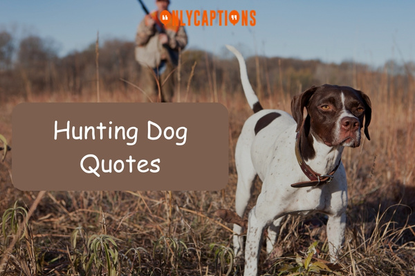 Hunting Dog Quotes (2024)