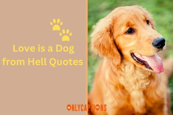 Love is a Dog from Hell Quotes (2023)