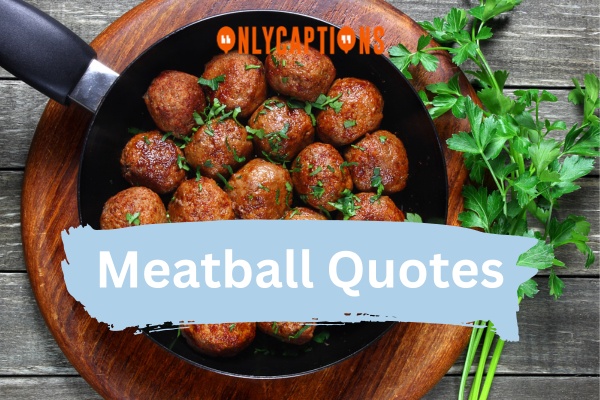Meatball Quotes (2024)