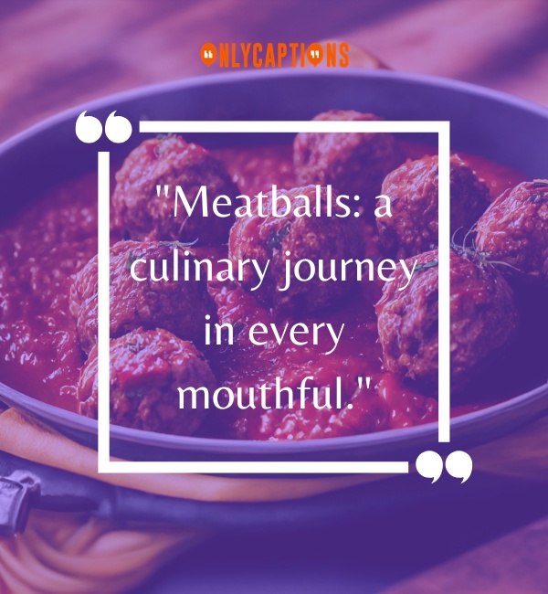Meatball Quotes 3-OnlyCaptions