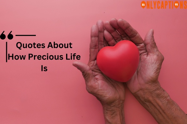 Quotes About How Precious Life Is-OnlyCaptions