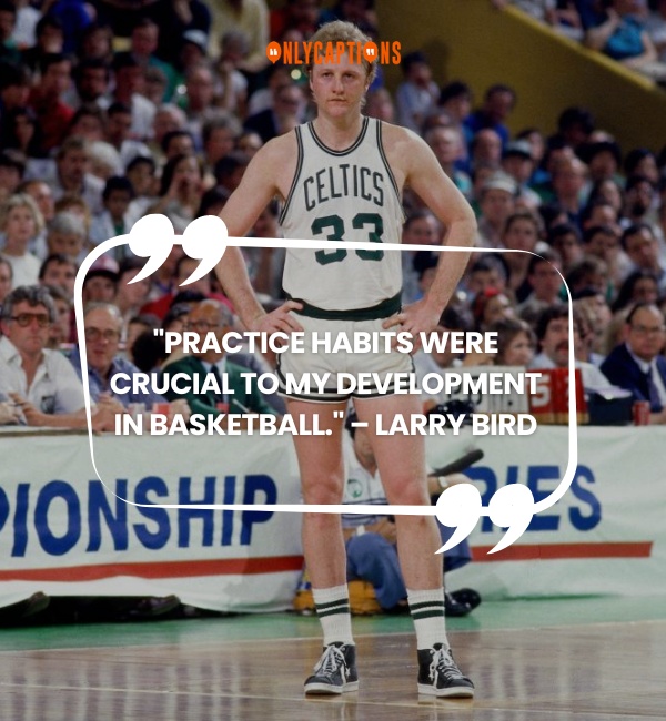 Quotes About Larry Bird (2024)