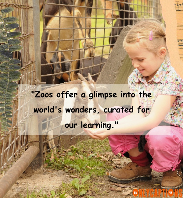 Quotes About The Zoo 2 1-OnlyCaptions