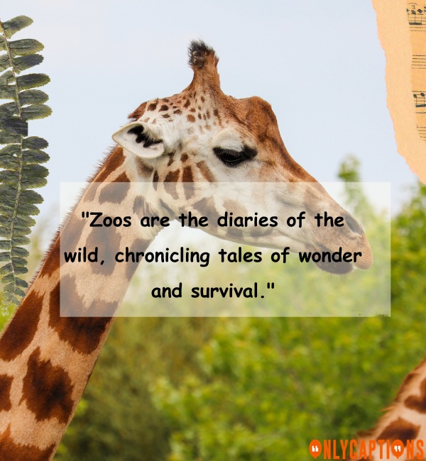Quotes About The Zoo 3 1-OnlyCaptions