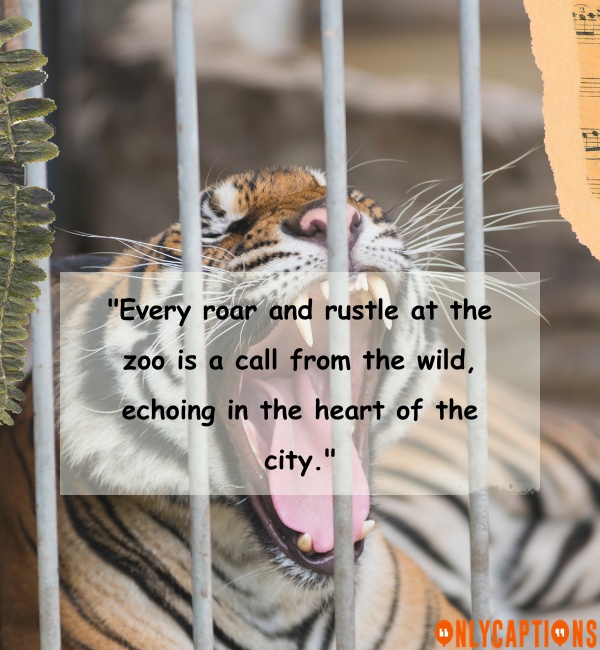 Quotes About The Zoo 4 1-OnlyCaptions