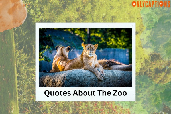 Quotes About The Zoo (2023)
