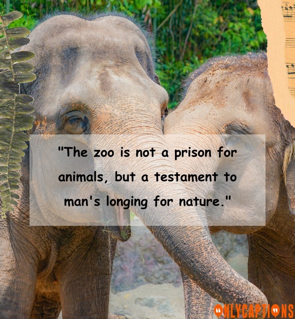 Quotes About The Zoo 6-OnlyCaptions
