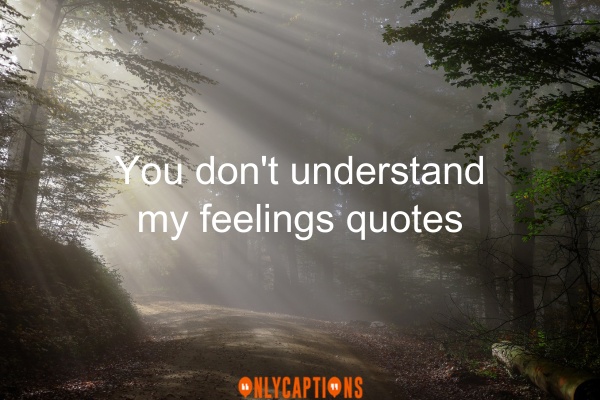 You Don't Understand My Feelings Quotes (2023)