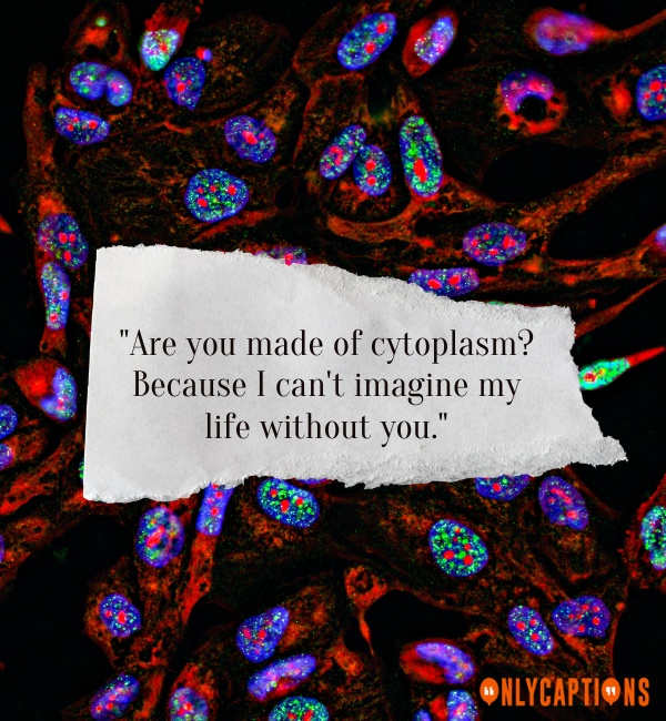 Funny Cytoplasm Pick Up Lines (2024)