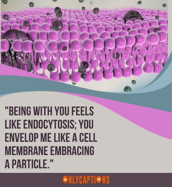 Cell Membrane Pick Up Lines For Tinder (2023)