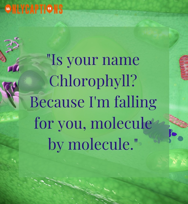 Cute Chloroplast Pick Up Line (2024)