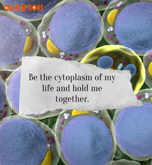 Cute Cytoplasm Pick Up Line (2024)