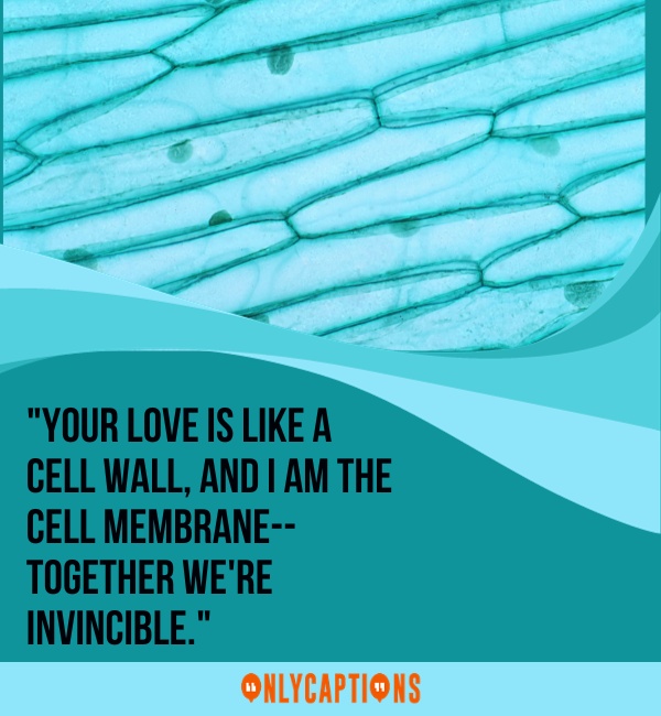 Cell Membrane Pick Up Lines For Her (Girls)