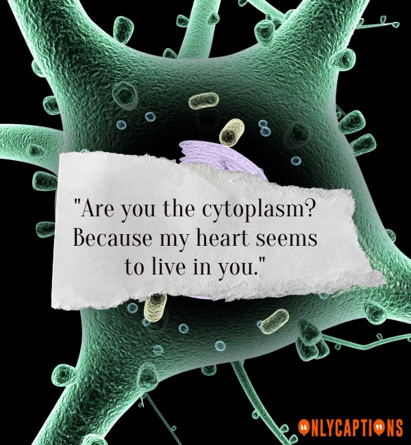 Cytoplasm Pick Up Lines For Her (Girls)