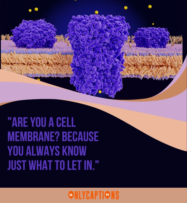 Cell Membrane Pick Up Lines For Him (Guys)