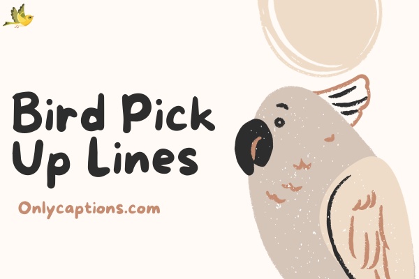 Bird Pick Up Lines (2023)