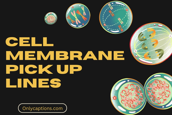 Cell Membrane Pick Up Lines 1-OnlyCaptions